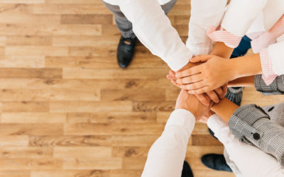 Colline Acepp recrute un comptable et gestionnaire Paies H/F